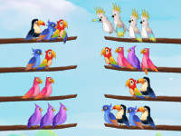 Play Bird Sort Puzzle now!