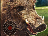 Play BOAR HUNTING JIGSAW now!