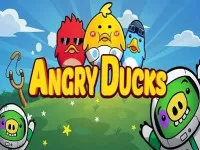 Angry Ducks