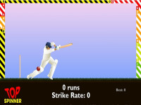 Play Cricket now!