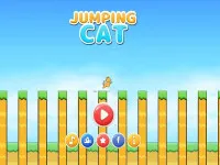 jumping-cat