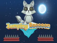 Jumping Raccoon