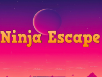 Play Project-Ninja Escape now!
