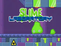 Slime Laboratory